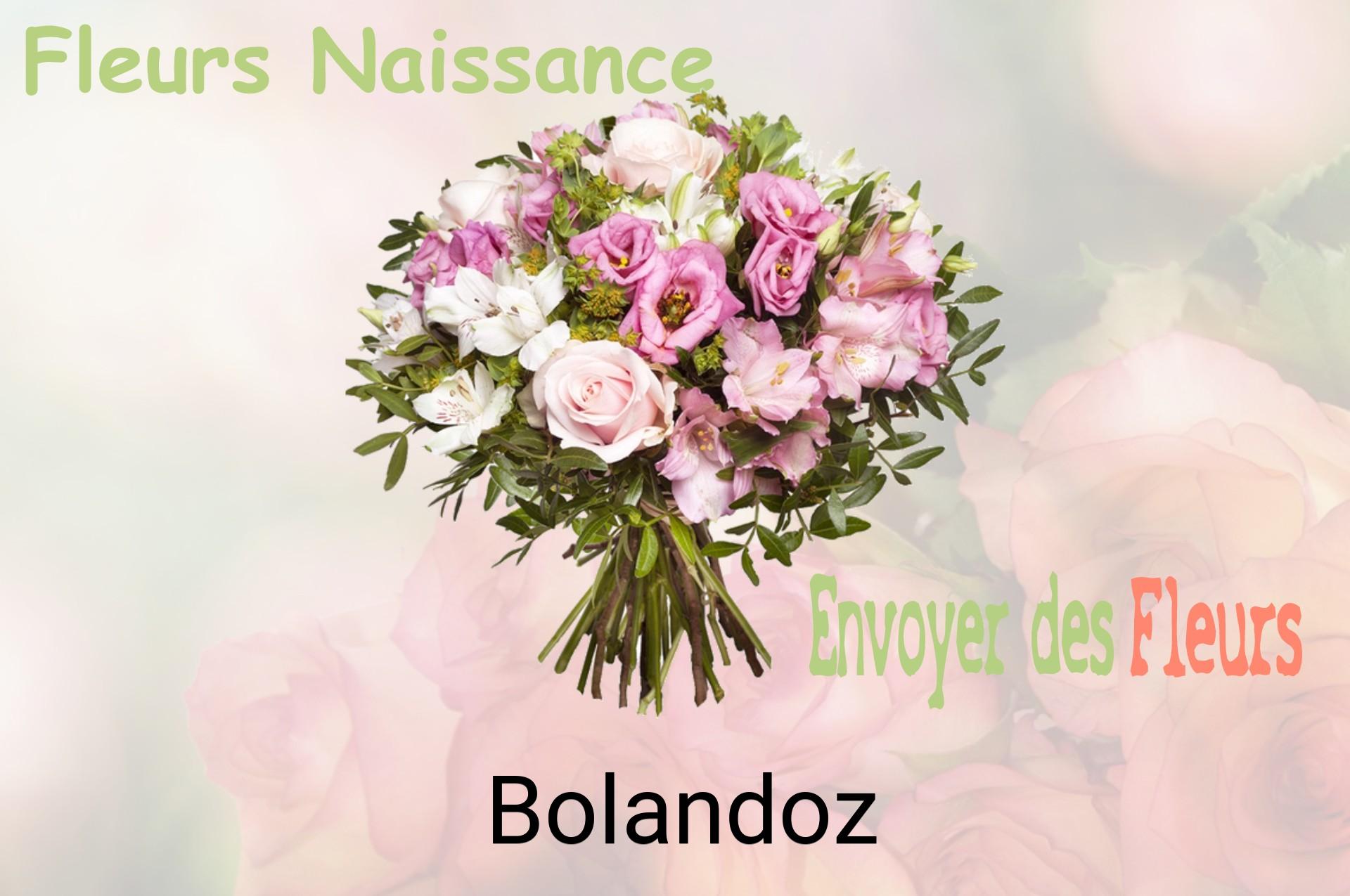Bouquet de fleurs de naissance livré à Bolandoz