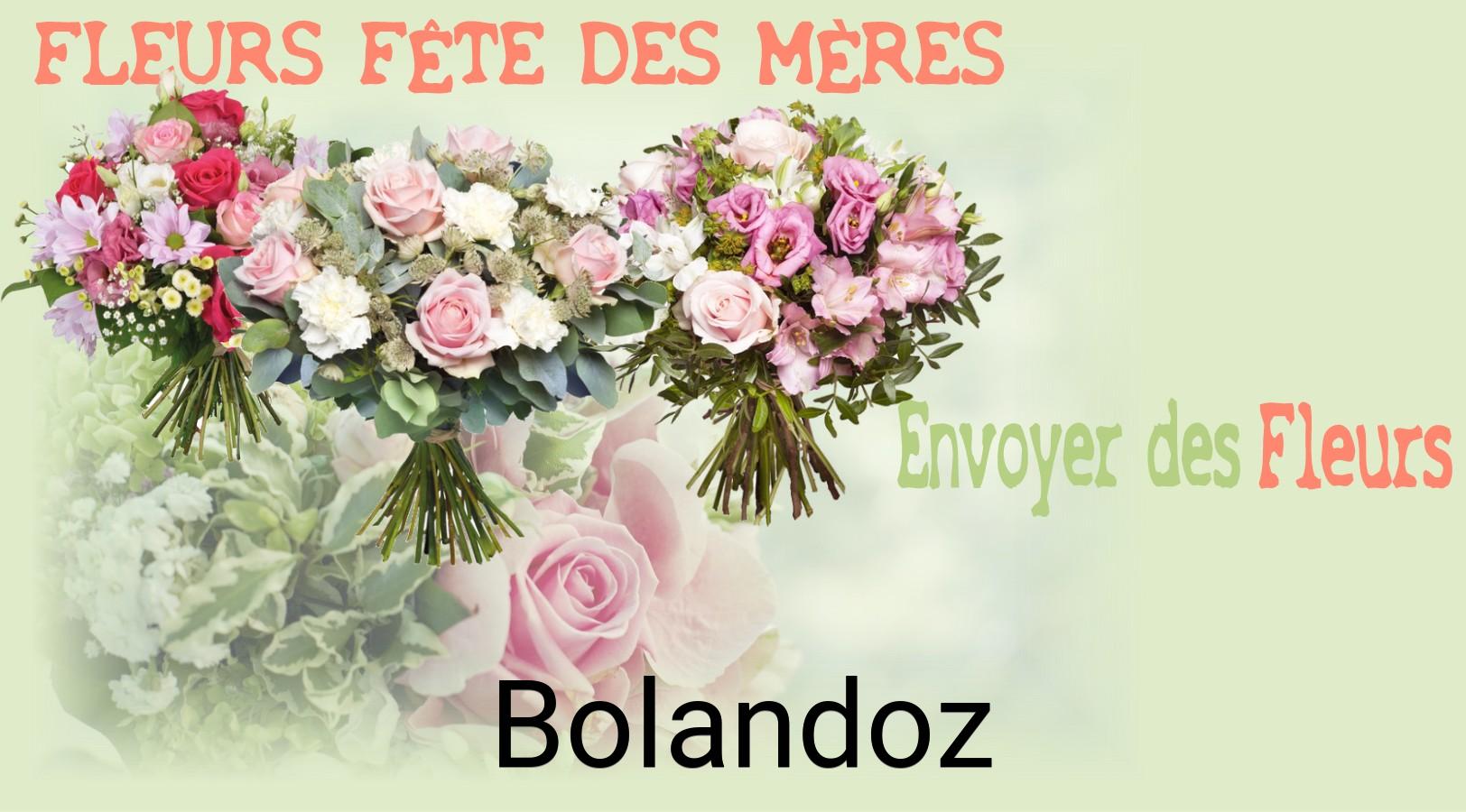 Bouquet de Fête des Mères livré à Bolandoz